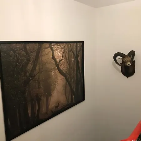 Zirben * Bad Kleinkirchheim