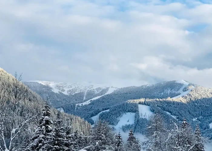 Zirben Bad Kleinkirchheim