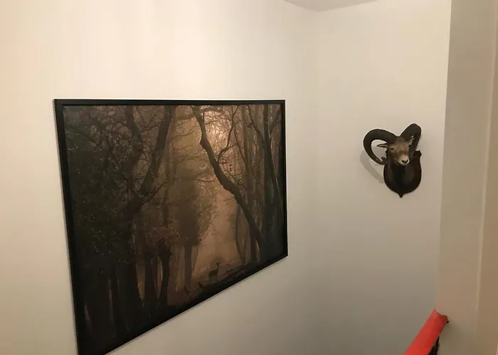 Zirben * Bad Kleinkirchheim